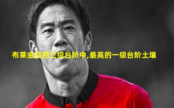 布莱金厄的三级台阶中,最高的一级台阶土壤
