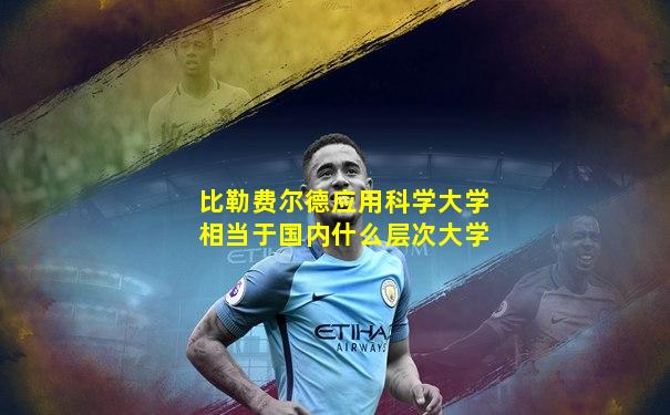 比勒费尔德应用科学大学相当于国内什么层次大学
