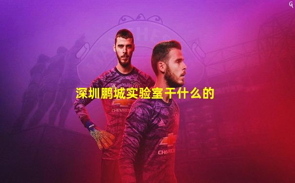 深圳鹏城实验室干什么的