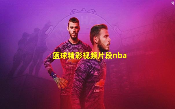 篮球精彩视频片段nba