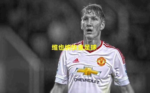 维也纳快速足球