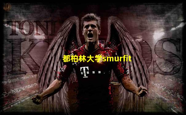 都柏林大学smurfit
