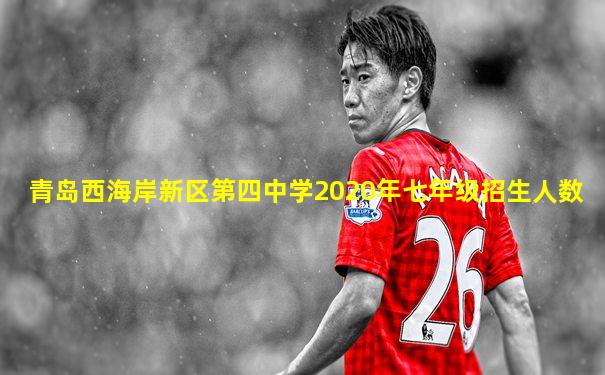 青岛西海岸新区第四中学2020年七年级招生人数
