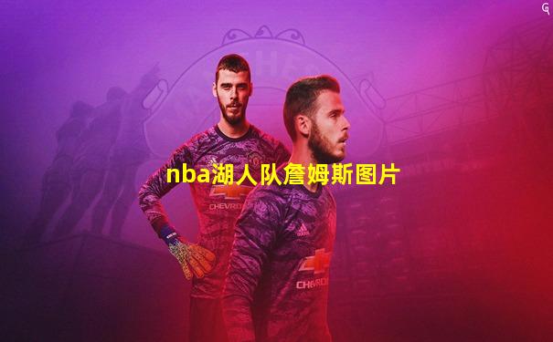 nba湖人队詹姆斯图片