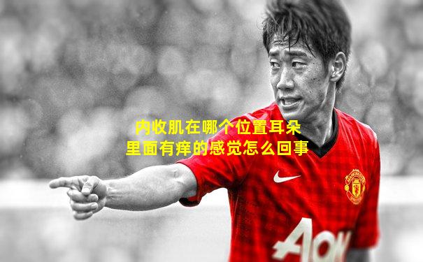 内收肌在哪个位置耳朵里面有痒的感觉怎么回事
