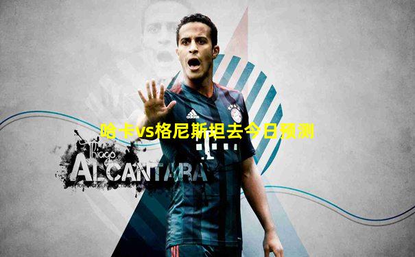 哈卡vs格尼斯坦去今日预测