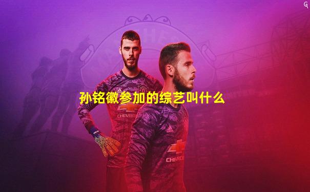 孙铭徽参加的综艺叫什么