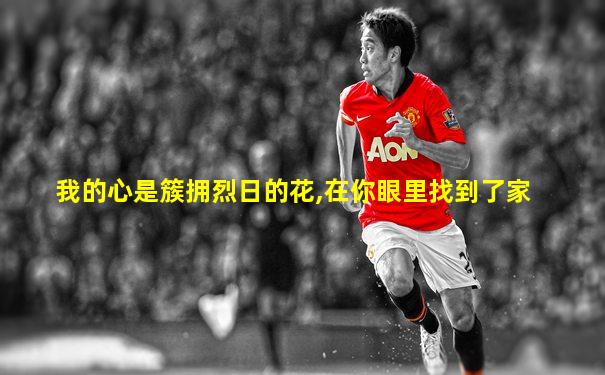 我的心是簇拥烈日的花,在你眼里找到了家