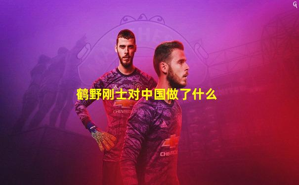 鹤野刚士对中国做了什么